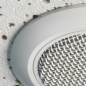 Preview: Audix M70-W