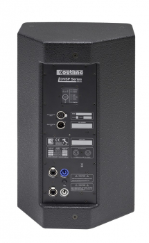 Outline DVS 12P iSP