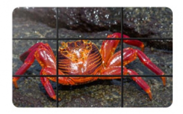 3x3 Videowall plus Beschallung