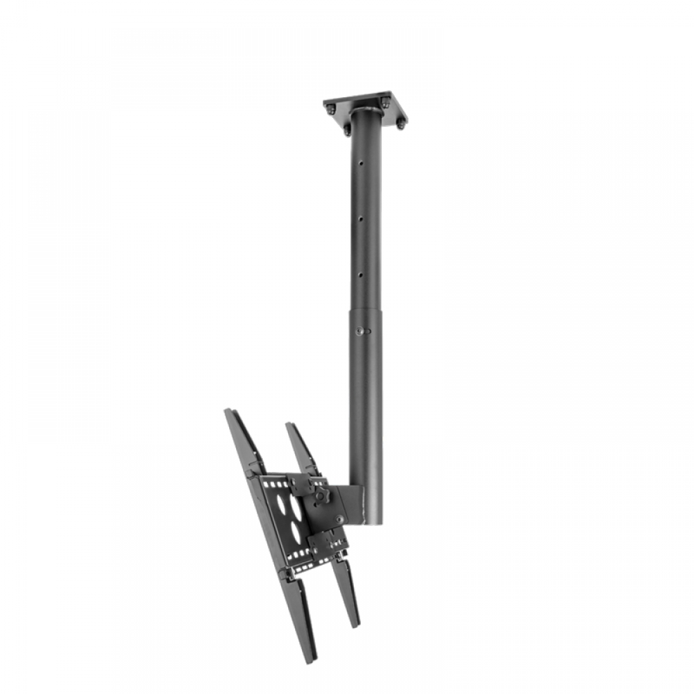 t&mMount DH 700S