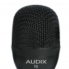 Audix F6